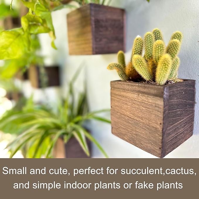 LaLaGreen Wood Planter Boxes for Indoor Plants (6 Pack, 4x4 Inch) Small Square Wall Mounted Planters Flower Pot, Herb Wooden Box Hanging Plant Holder Outdoor Balcony Vertical Garden Modern Home Decor