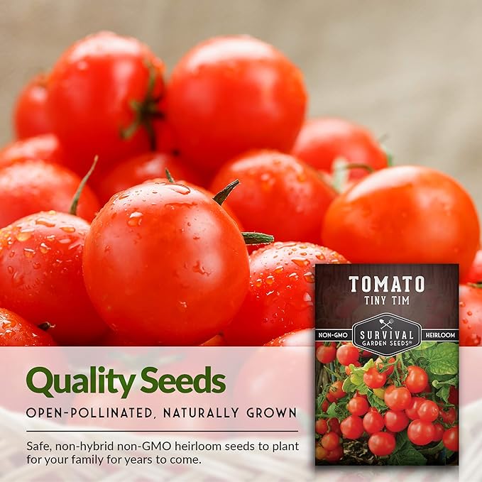 Survival Garden Seeds - Tiny Tim Tomato Seeds for Planting - 3 Packs with Instructions to Grow in Your Home Vegetable Garden - Non-GMO Heirloom Variety