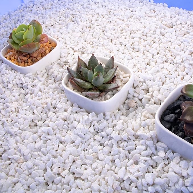Anothera 7LB Succulent and Cactus Bonsai DIY Rocks, White Onyx, Gravel for Terrarium, Fairy Gardening, Top Dressing,（6mm-8mm）