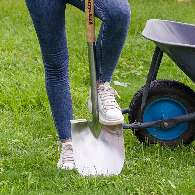 Berry&Bird Shovel for Digging, Round Point Digging Garden Shovel with Wood D-Handle, 40.98" Stainless Steel Gardening Didding Spade, Heavy Duty Spade Shovel Beach Shovel Snow Shovel for Women & Men