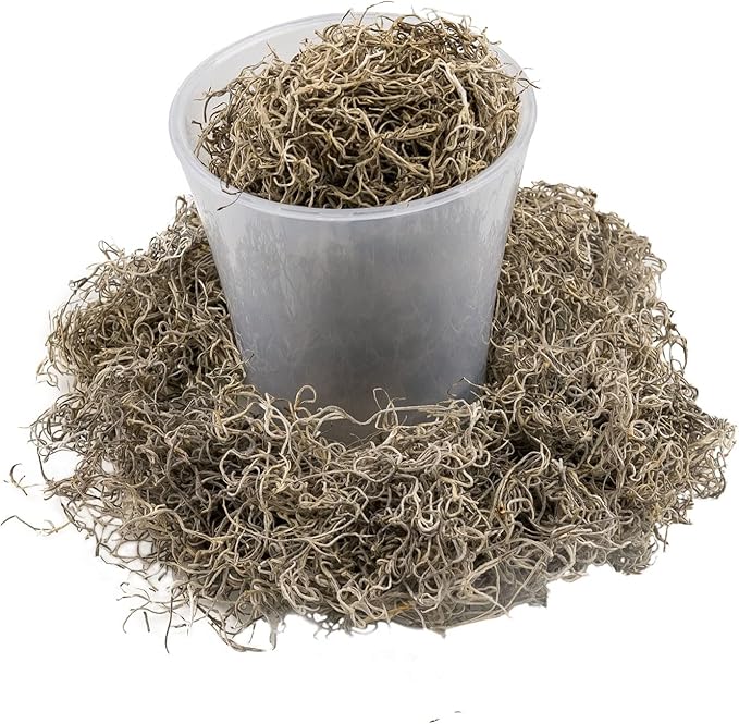 Premium Natural Spanish Moss | Natural Preserved - Great Ground Cover - Filler for Potted Plants - by GARDENERA - 1 Quart Bag