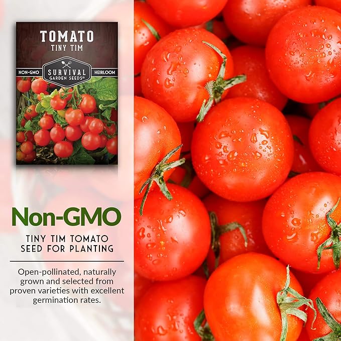 Survival Garden Seeds - Tiny Tim Tomato Seeds for Planting - 5 Packs with Instructions to Grow in Your Home Vegetable Garden - Non-GMO Heirloom Variety