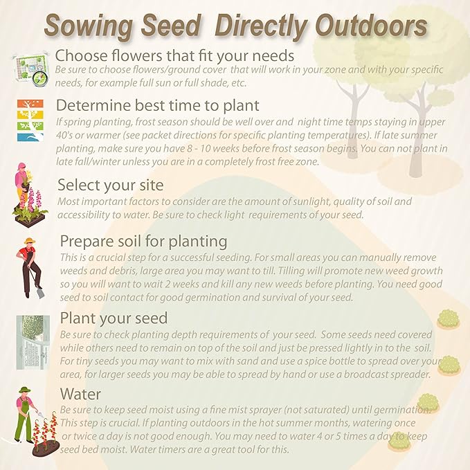 Outsidepride 10000 Seeds Annual Yellow Mustard Herb Garden Seed for Microgreens, Sprouts, & Cooking