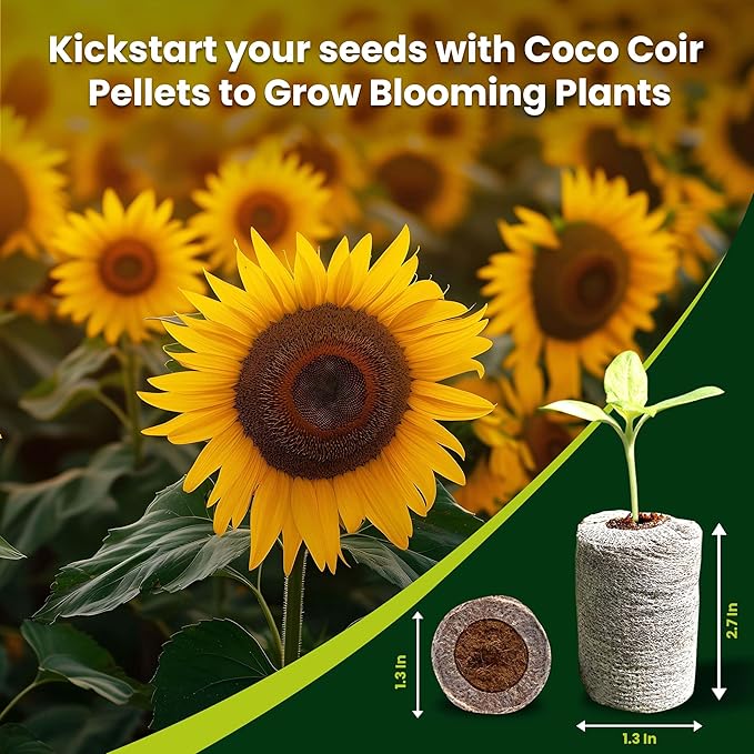 Gro-Med Organic Coco Coir Seed Starter Pellets NPK Enriched 50 Pcs, 35mm Perfect to Grow Herbs, Vegetables, Flowers,Fruits Seedlings, Compressed Coconut Coir Soil Plugs - Easy to Transplant in Pot