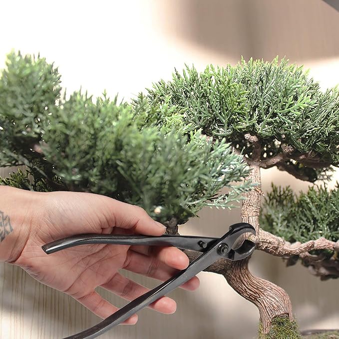 BambooMN Bonsai Tool Kit - 8" Concave Cutter & 8" Knob Cutter - 3 Sets