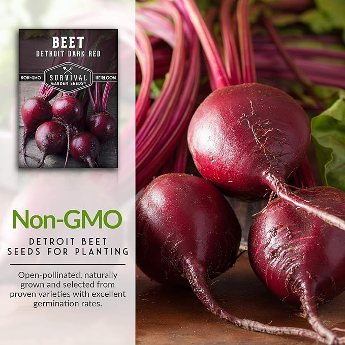Survival Garden Seeds - Detroit Dark Red Beet Seed for Planting - 5 Packs with Instructions to Plant and Grow Delicious Root Vegetables in Your Home Vegetable Garden - Non-GMO Heirloom Variety