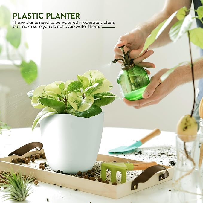 Utopia Home - Plant Pots Indoor with Drainage - 7/6.6/6/5.3/4.8 Inches Flower Pots for Indoor Planter - 5 Pack Plastic Planters - Ideal for Stocking Stuffers or Home Christmas Decorations - White