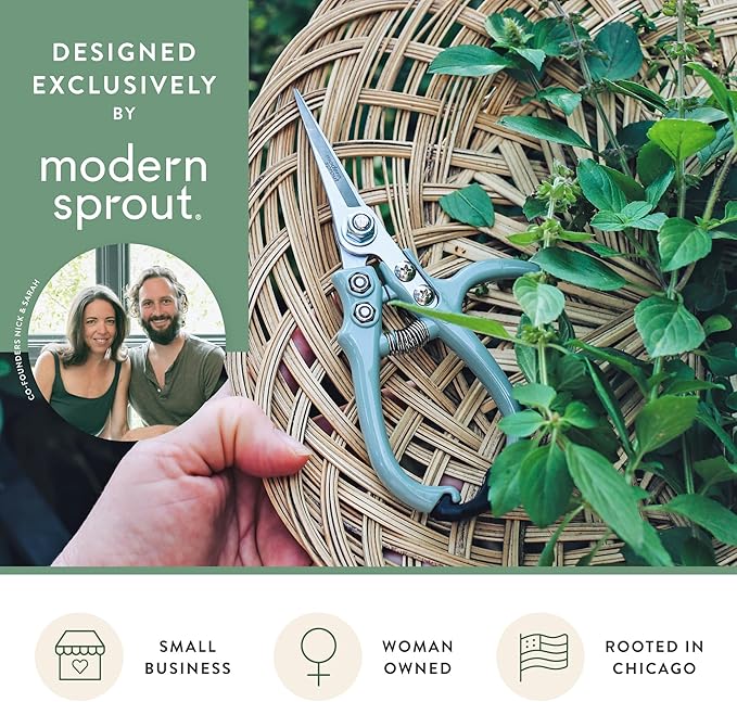 Modern Sprout Pruning Shears for Gardening, Herb Snips, Flower Cutting Scissors, Indoor Plant Shears, Lightweight, Ergonomic, Carbon Steel Blade, Easy-Lock Safety, Aesthetic (Chartreuse)