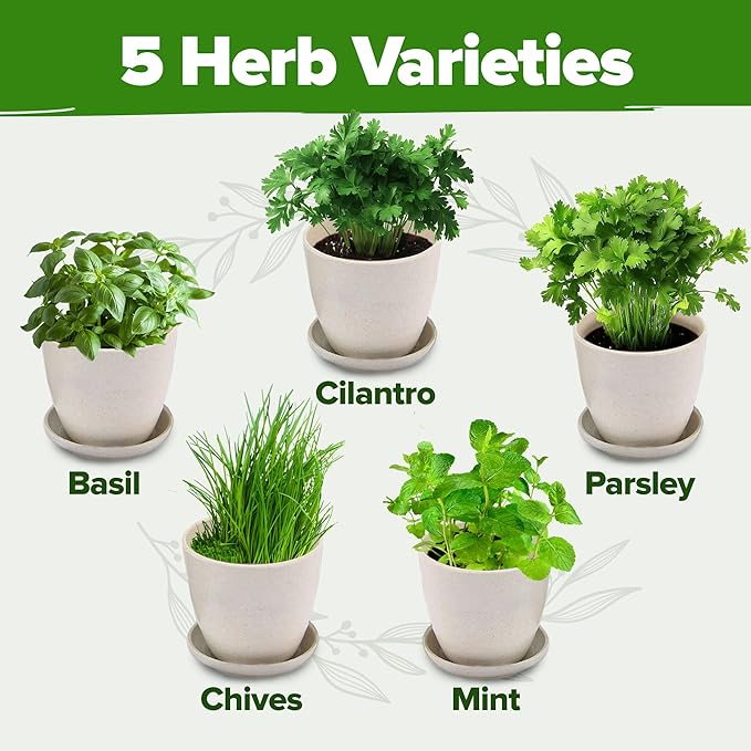 HOME GROWN Herb Gardening Starter Kit for Indoors - Unique Gift for Mom, Women, Her, Men - Complete 5 Herb Plant Grow Kit - Holiday Gift for Gardeners