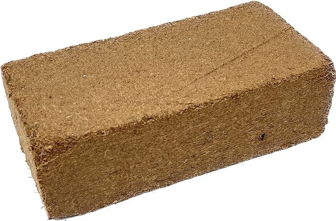 Seed Needs, Culinary Herb Seed Packet Collection Seed Starting Bundle (includes 12 Individual Seed Packets, 36 Starter Pots & 1 Expandable Coco Coir Brick) Heirloom, Non-GMO, Untreated