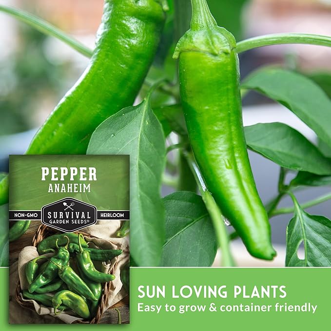 Survival Garden Seeds Anaheim Chili Pepper Seed for Planting - 1 Packet with Instructions to Plant & Grow Mild to Medium Hot Chile Peppers in Your Home Vegetable Garden - Non-GMO Heirloom Variety