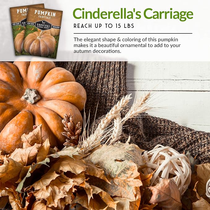 Survival Garden Seeds Fairy Tale Pumpkin Seeds for Planting – Packet with Instructions to Plant & Grow Pumpkins in Your Home Vegetable Garden - Non-GMO Heirloom Seeds