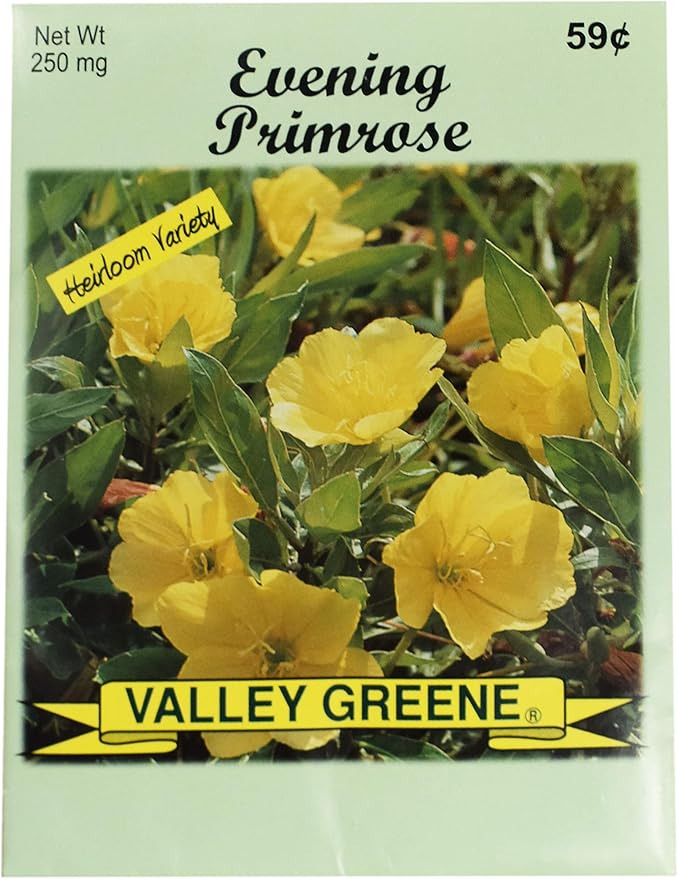 Black Duck Brand Set of 25 Evening Primrose Flower Seed Packets! Flower Seeds in Bulk - Great for Creating The Garden of Your Dreams! (25, Evening Primrose)