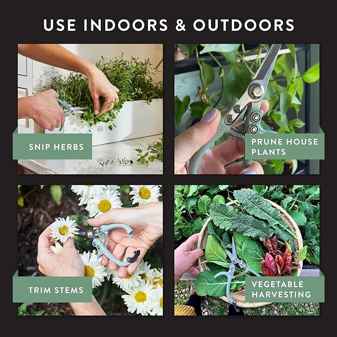Modern Sprout Pruning Shears for Gardening, Herb Snips, Flower Cutting Scissors, Indoor Plant Shears, Lightweight, Ergonomic, Carbon Steel Blade, Easy-Lock Safety, Aesthetic (Chartreuse)