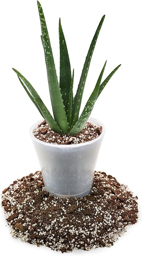 Premium Aloe Vera Potting Soil Mix - 20 Quart - (4 Bags of 5QT)