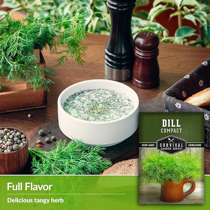 Survival Garden Seeds Compact Dill for Planting - 1 Seed Packet with Instructions to Plant & Grow Container Sized Dwarf Dill Herb Plants in Your Home Garden - Non-GMO Heirloom Variety