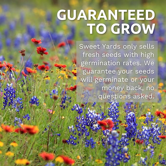 Zinnia Stop Sign Mix - Bulk 1/4 Pound Pouch - 15,000 Flower Seeds for Planting - Zinnia elegans