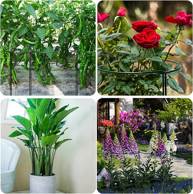 TCBWFY 14" Dx32 H Plant Supports Stakes for Large Heavy Plants,6 Pack Peony Supports,Heavy Duty 5mm Wire Peony Cages,Interlock Garden Supports Ring Border Support,Plant Support Cage for Rose Flower