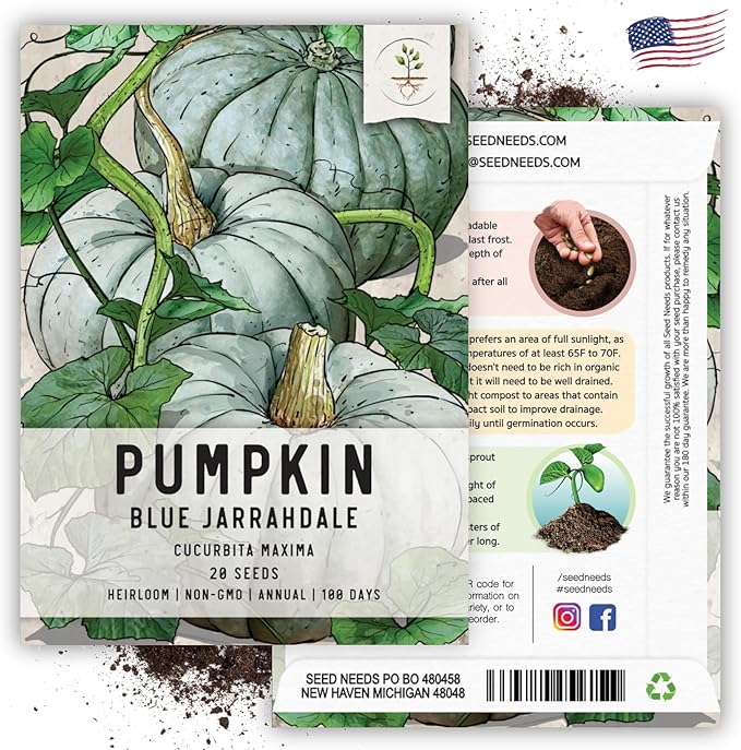 Seed Needs, Blue Jarrahdale Pumpkin Seeds - 20 Heirloom Seeds for Planting Cucurbita maxima - Non-GMO & Untreated - Tasty Decorative Pumpkin for Halloween & Fall (5 Packs)