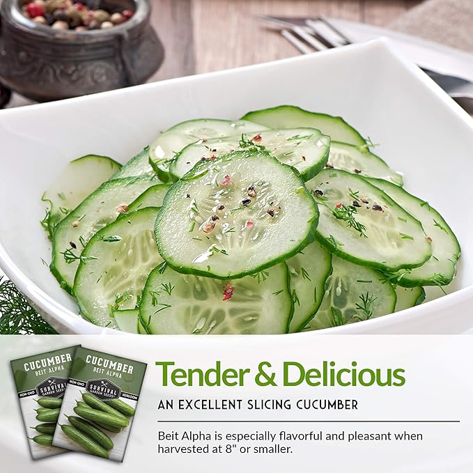 Survival Garden Seeds - Beit Alpha Cucumber Seed for Planting - Pack with Instructions to Plant and Grow Smooth Green Burpless Cucumbers in Your Home Vegetable Garden - Non-GMO Heirloom Variety