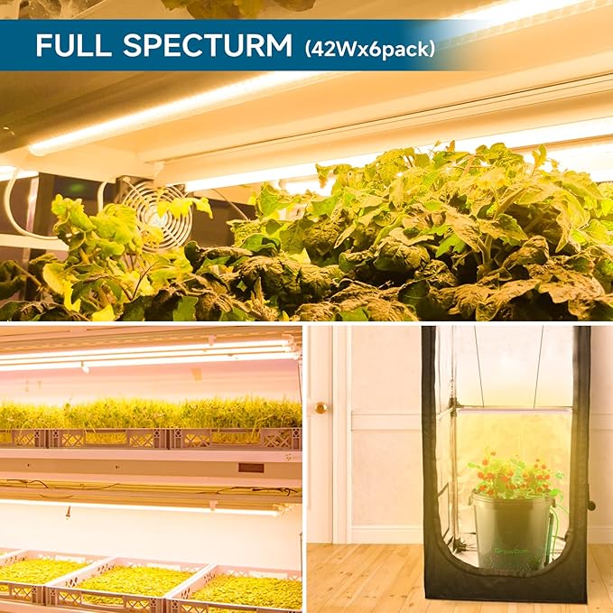 Barrina Full Spectrum LED Grow Light, 168W(4 x 42W), Grow Light Strips for Indoor Plant, 4FT Plant Grow Light, T8 Growing Lamp Fixture, Yellow, 4-Pack
