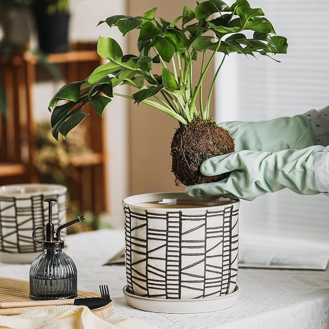 8 Inch Plant Pot: Ceramic Planter with Drainage Hole & Saucer for Indoor Outdoor Plants - Flowerpot with Bonded Tray for Home Office - Striped Debossed