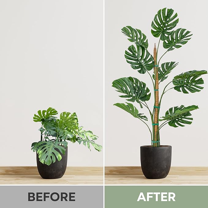 63'' Bendable Moss Pole Monstera Plant Support for Climbing Indoor Plants - Stakes for Potted Climbers - Tall Sticks Indoor Trellis for Houseplants - Accessories for Monstera Pot
