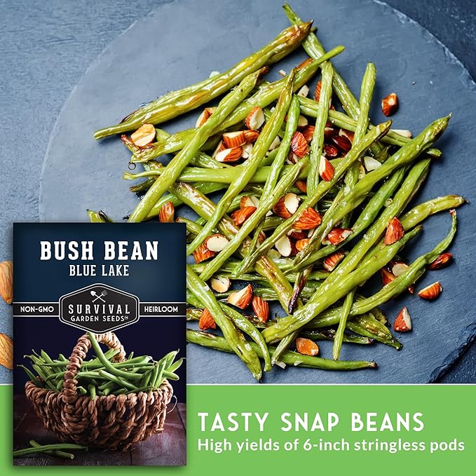 Survival Garden Seeds - Blue Lake Bush Bean Seed for Planting - 5 Packets with Instructions to Plant & Grow Green Stringless Snap Beans in Your Home Vegetable Garden - Non-GMO Heirloom Variety