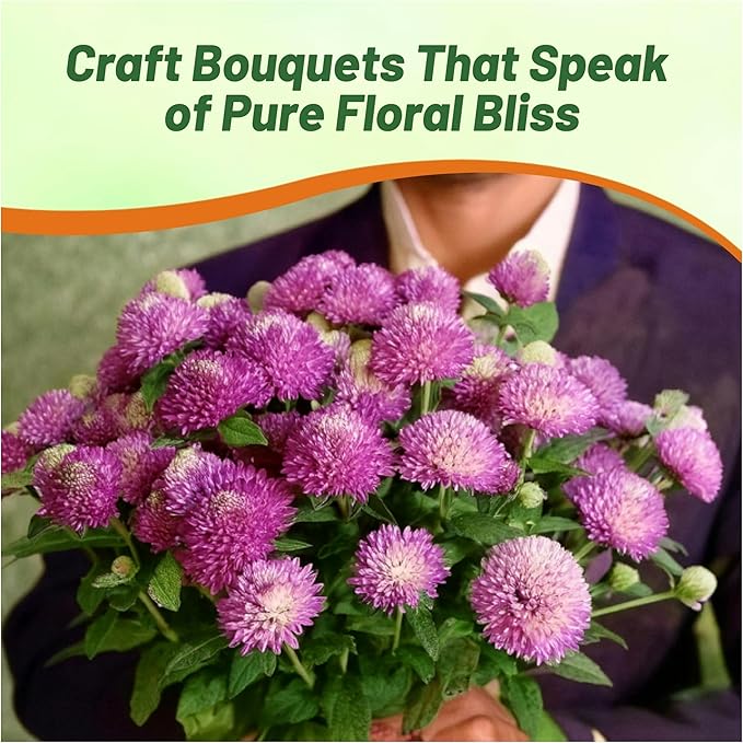 Outsidepride 2000 Seeds Annual Rose Gomphrena Globosa Flower Seed for Planting