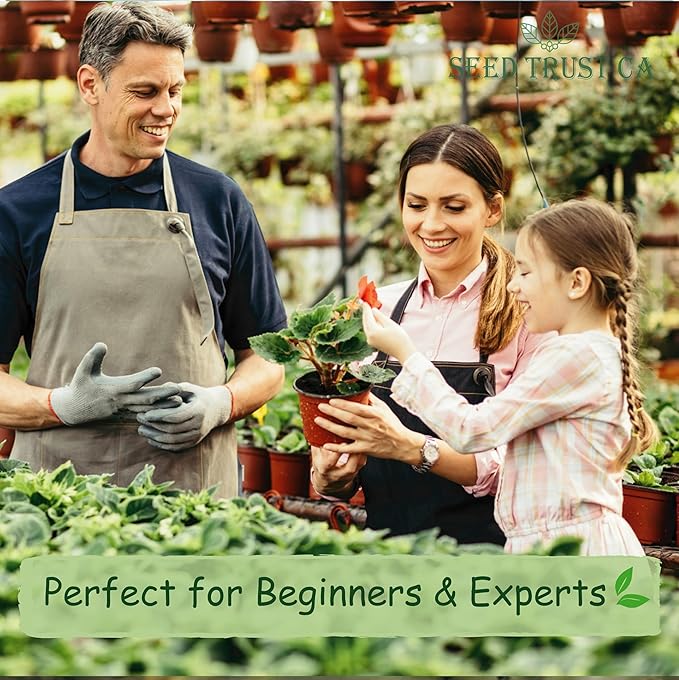Egyptian Spinach (Molokhia) Seeds – 3000+ Non-GMO, High-Yielding Saluyot Vegetable Seeds for Planting – High Germination Rate, Heirloom Variety – USA (Molokhia)