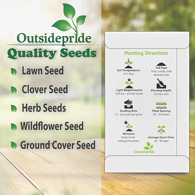 Outsidepride 5000 Seeds Perennial Mugwort Herb Garden Seeds for Planting