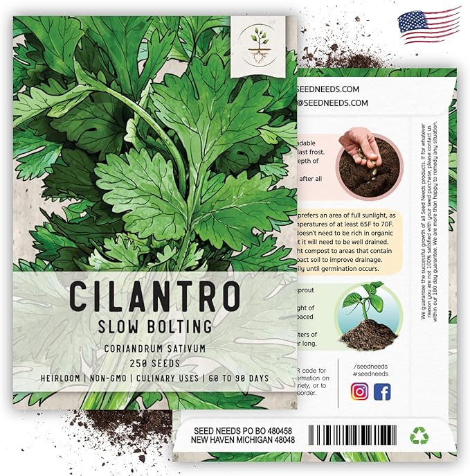 Seed Needs, Cilantro Herb Seeds - 250 Heirloom Seeds for Planting Coriandrum sativum - Non-GMO & Untreated