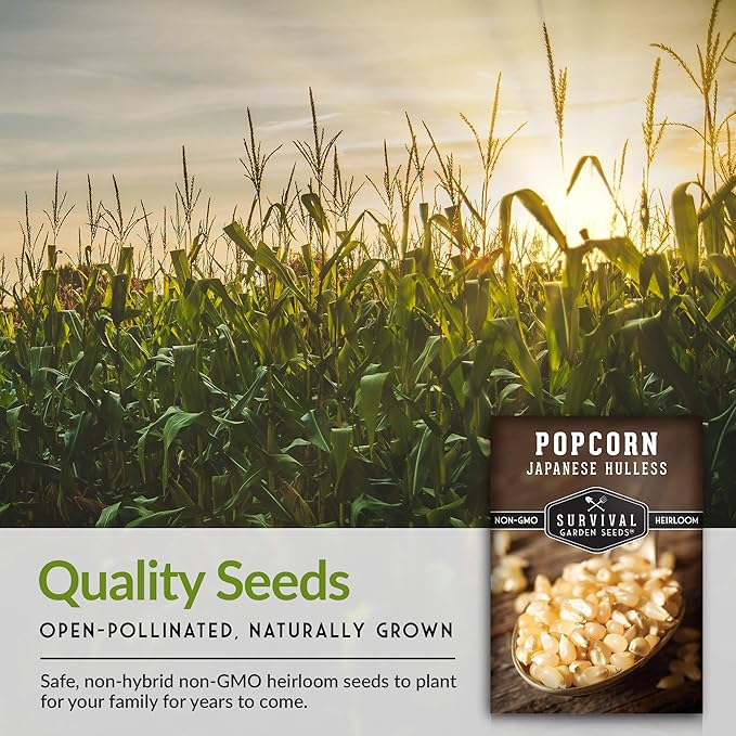 Survival Garden Seeds - Japanese Hulless Popcorn Seed for Planting - Packet with Instructions to Plant and Grow Delicious Kernel Popcorn in Your Home Vegetable Garden - Non-GMO Heirloom Variety