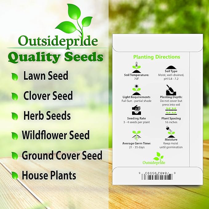 Outsidepride 2000 Seeds Perennial Stachys Byzantina Lamb's Ear Flower Seeds for Planting