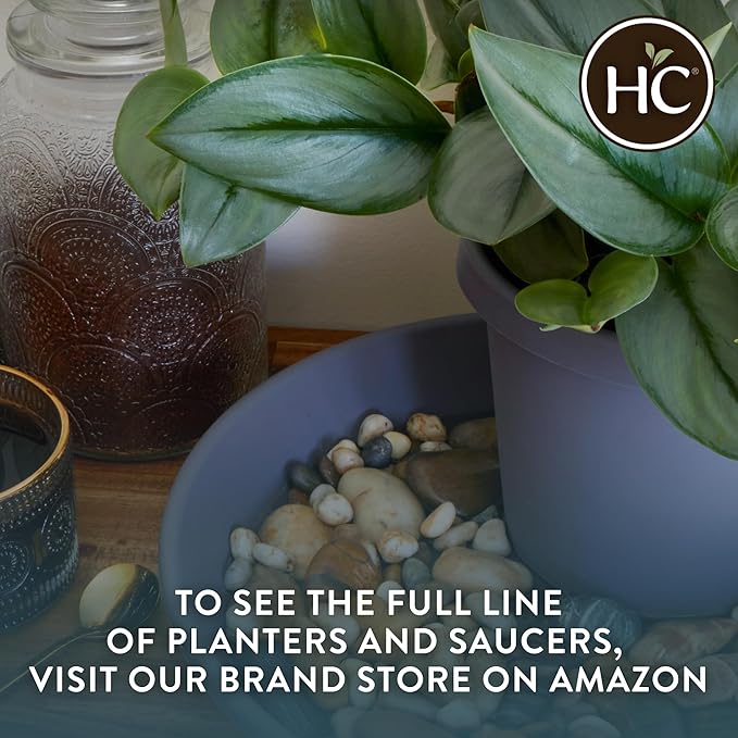 The HC Companies Flower Pot Saucers - Plastic Plant Saucer for Outdoors & Indoors - Traditional Design Plant Pot Trays for Water Drainage - Durable & Stylish Round Plant Tray (6-inch Seafoam)