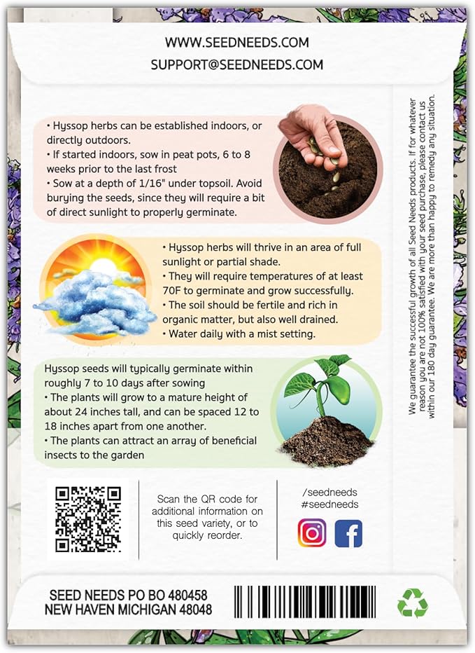 Seed Needs, Blue Hyssop Seeds - 500 Heirloom Seeds for Planting Hyssopus officinalis - Medicinal Herb for an Indoor/Outdoor Garden, Non-GMO & Untreated (1 Pack)