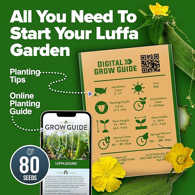 HOME GROWN Luffa Seeds 2 Pack (Luffa aegyptiaca) - 80 Heirloom Loofah Seeds. Non-GMO Loofah Gourd Seeds for Planting. High Germination Rate - Make Sponges or Harvest Young Loofahs for Eating