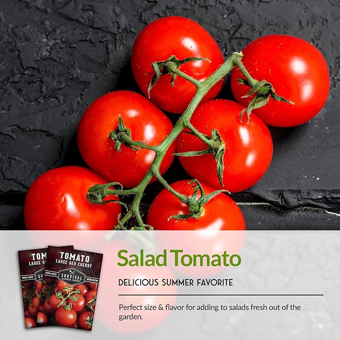 Survival Garden Seeds - Large Red Cherry Tomato Seed for Planting - 3 Packets with Instructions to Plant and Grow Tomatoes in Your Home Vegetable Garden - Non-GMO Heirloom Variety