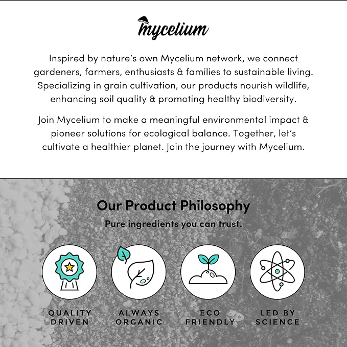 Mycelium Plus CVG Substrate with Proprietary Blend - Organic CVG with Cultivation Enhancer - Ideal for High Yield Dung-Loving Mushroom Cultivation - Sterilized 10LB Bag for Beginners & Pros