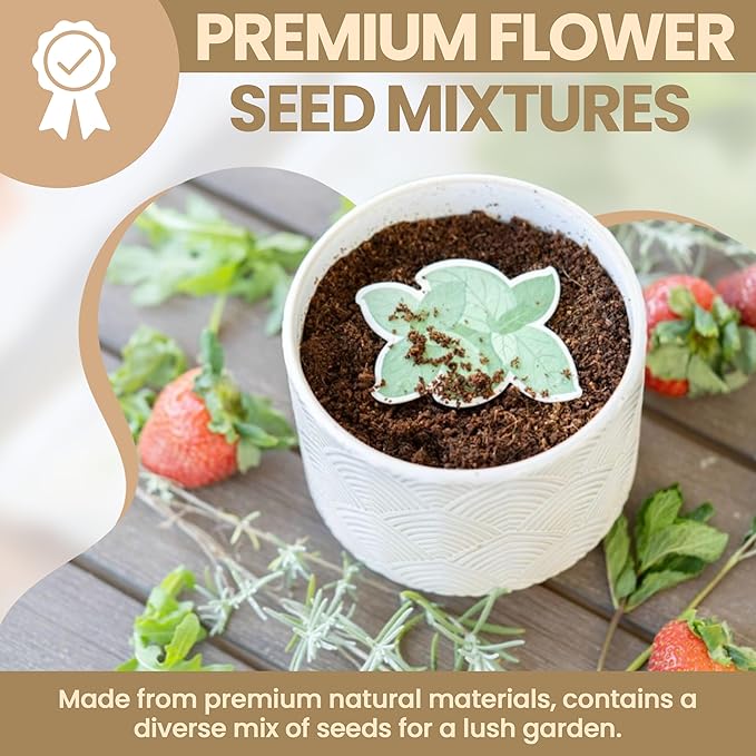 10 Pcs Plantable Seed Paper - Seed Paper Favors | Flower Seed Paper for Gardening, Crafting, Birthdays, Wedding Anniversaries | Indoor Flower Plantable Seeded Paper | Plantable Mini Seed Papers Set