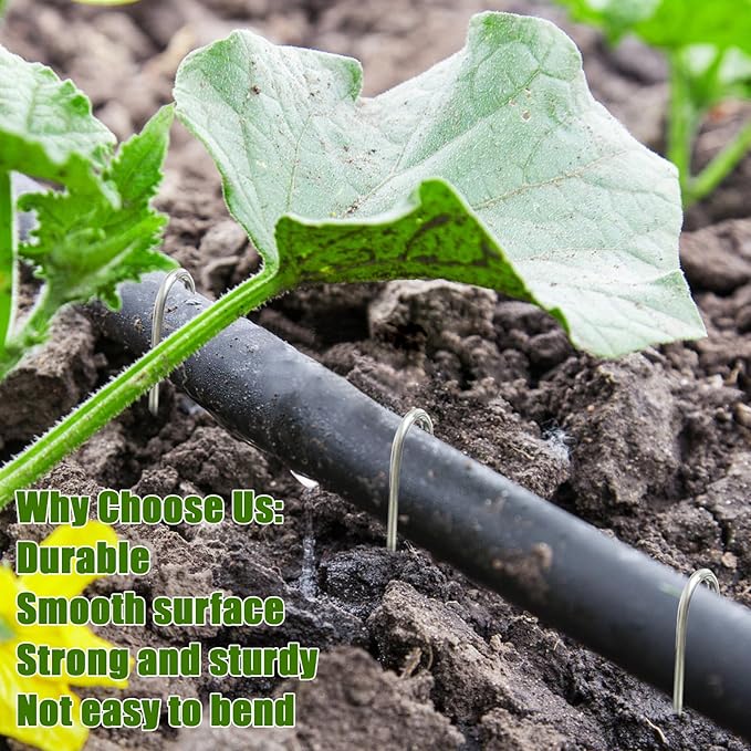 100Pcs Irrigation Drip Tubing Landscape Pins J Shape Garden Stakes 5 Inch Landscaping Staples Lawn Pins for Drip Tubing (Hold Drip Tubing Up to 1/2" Diameter)