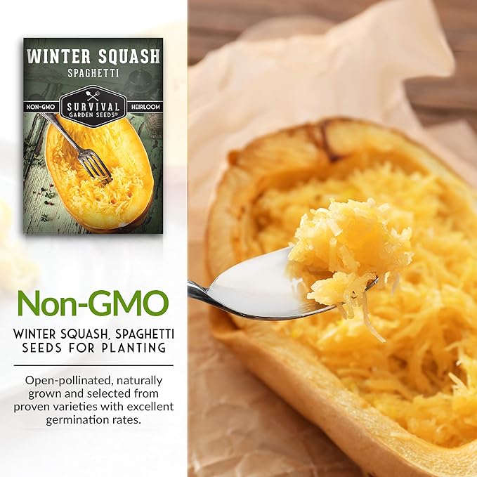 Survival Garden Seeds - Spaghetti Squash Seed for Planting - 5 Packets with Instructions to Plant and Grow Low Carb Healthy Winter Squash in Your Home Vegetable Garden - Non-GMO Heirloom Variety