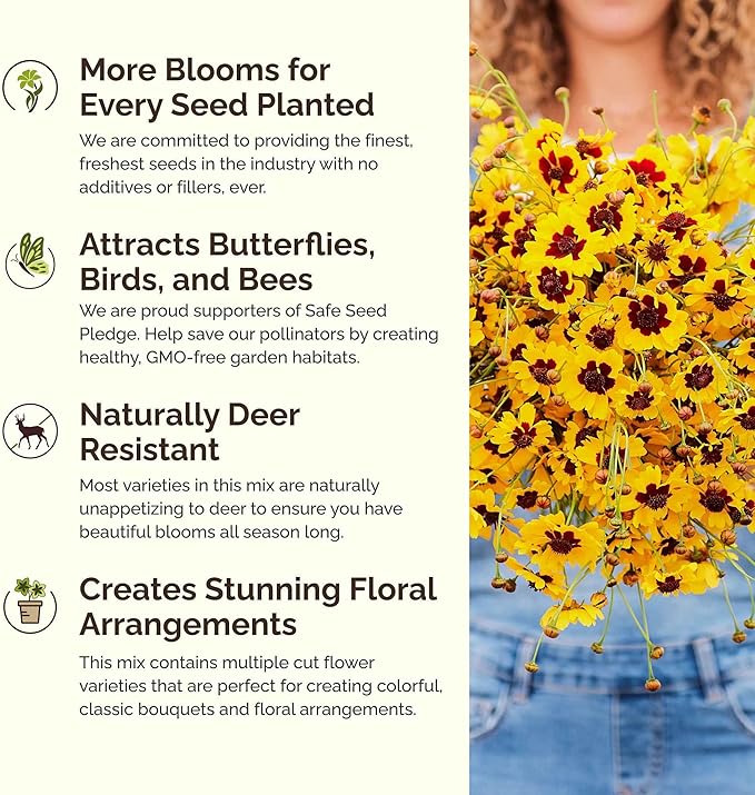 Eden Brothers Southwest Wildflower Mixed Seeds for Planting, 5 lb, 2,400,000+ Seeds with Cornflower, Blanket Flower | Attracts Pollinators, Plant in Spring or Fall, Zones 3, 4, 5, 6, 7, 8, 9, 10