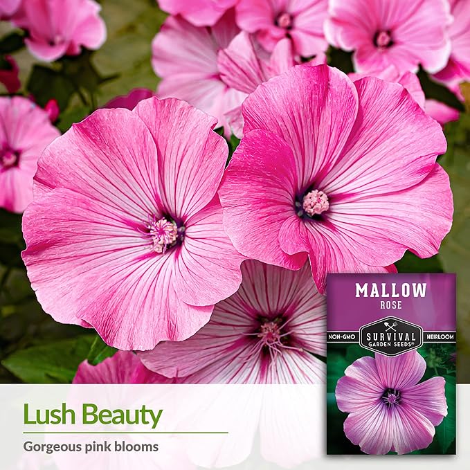 Survival Garden Seeds - Rose Mallow Seed for Planting - Packet with Instructions to Plant and Grow Bright Pink Native Wildflower in Your Home Vegetable Garden - Non-GMO Heirloom Variety - Rose Seeds