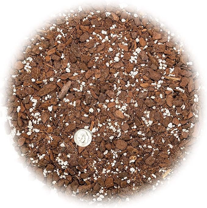 Monstera Borsigiana Soil Mix - Expertly Formulated for Strong Root Development - 2 Quart
