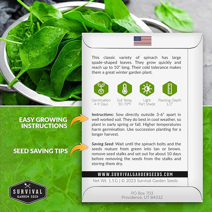 Survival Garden Seeds - Viroflay Spinach Seed for Planting - Packet with Instructions to Plant and Grow Nutritious Leafy Greens in Your Home Vegetable Garden - Non-GMO Heirloom Variety - 2 Pack