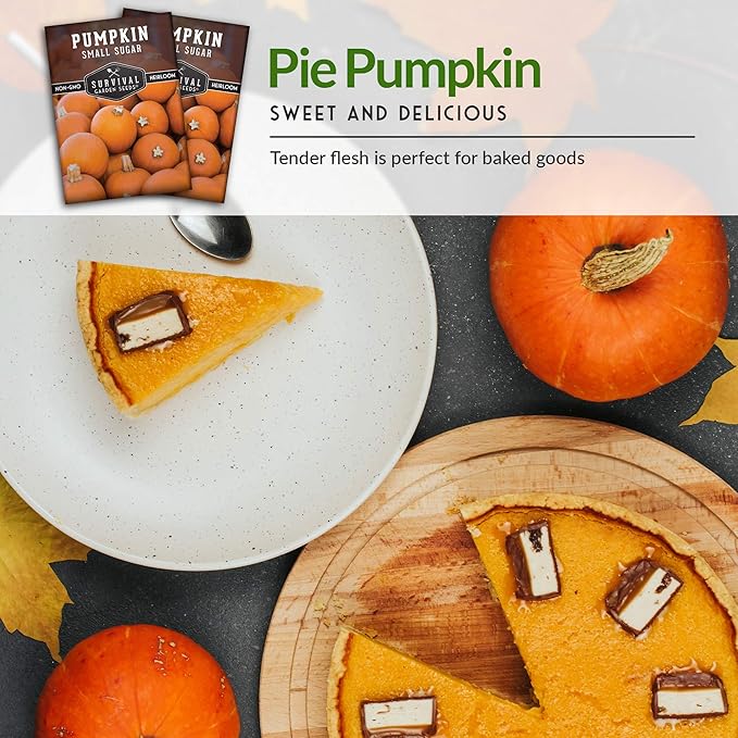Survival Garden Seeds - Small Sugar Pumpkin Seeds for Planting – 1 Packet with Instructions to Grow Pie Pumpkins in Your Home Vegetable Garden – Non-GMO Heirloom Variety