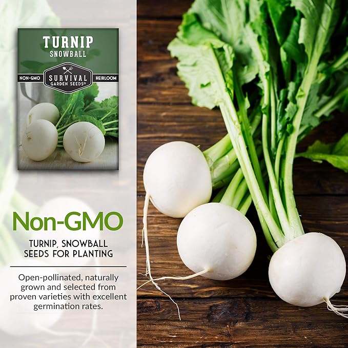 Survival Garden Seeds - Turnip Snowball Seed for Planting - 5 Packs with Instructions to Plant and Grow Root Vegetables and Greens in Your Home Vegetable Garden - Non-GMO Heirloom Variety - Fall Seeds