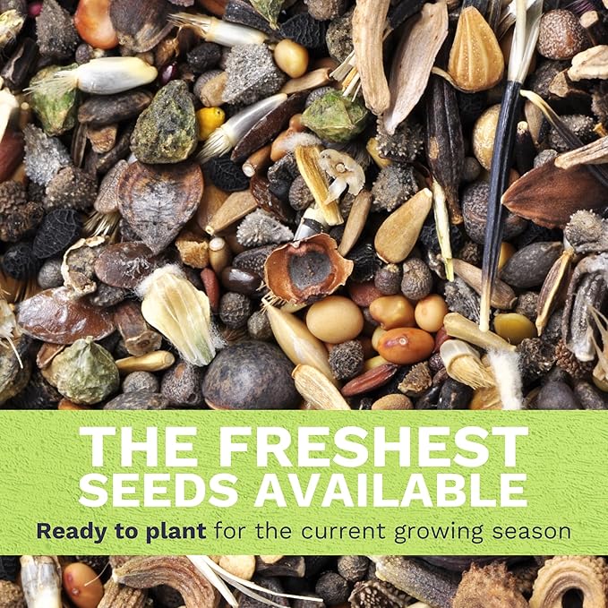 Pacific Northwest Regional Mix - Large 1 Ounce Packet - 24,000 Flower Seeds for Planting - Wildflower Mix