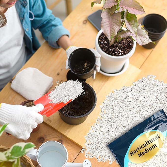Horticultural Perlite for Plants 1qt, Chunky Perlite Bulk for Gardening, Soil Amendments to Improve Soil Aeration & Dranage for Houseplant